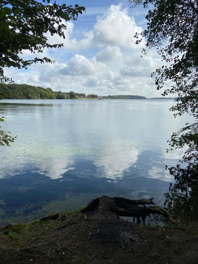 Les Pieds Dans L Eau Appartement Erpion Buitenkant foto